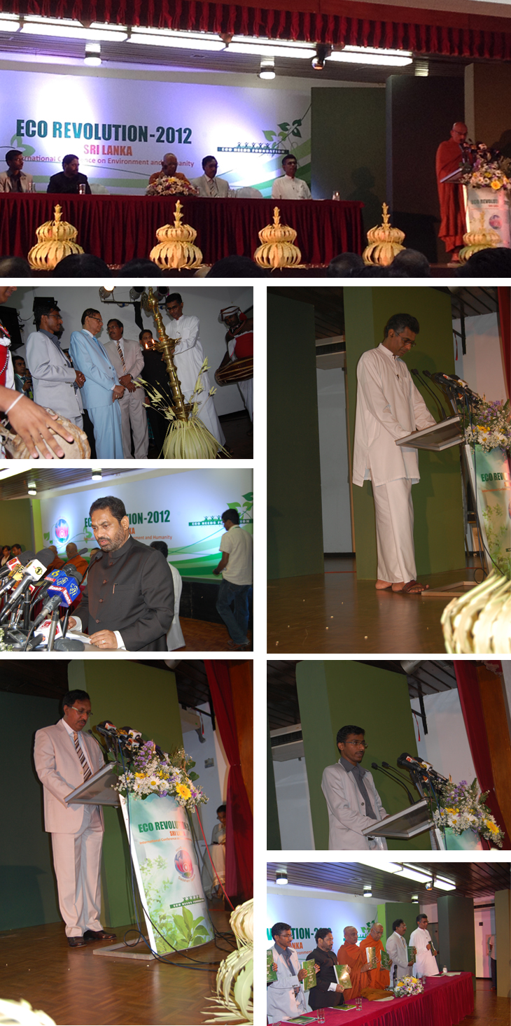 Eco Needs Foundation project image